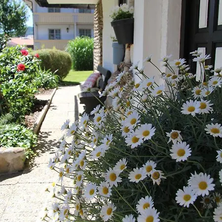 Am Schmuggerbuehl * Bodenmais