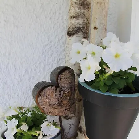 Am Schmuggerbuehl Apartamento *
